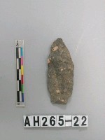 藏品(帶鋌打製石鏃)的圖片